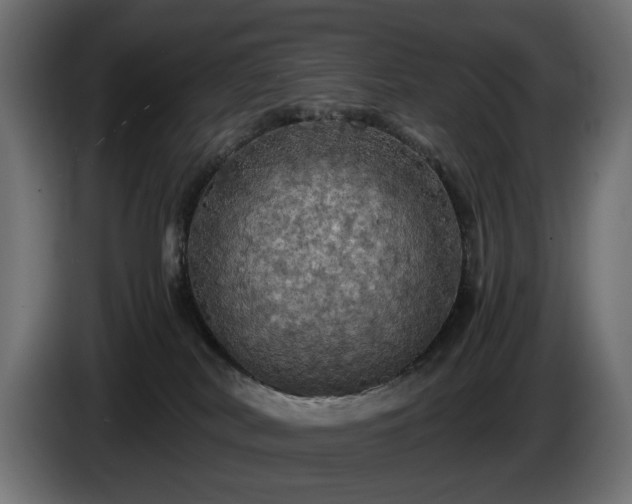 X0000084530038200703021431