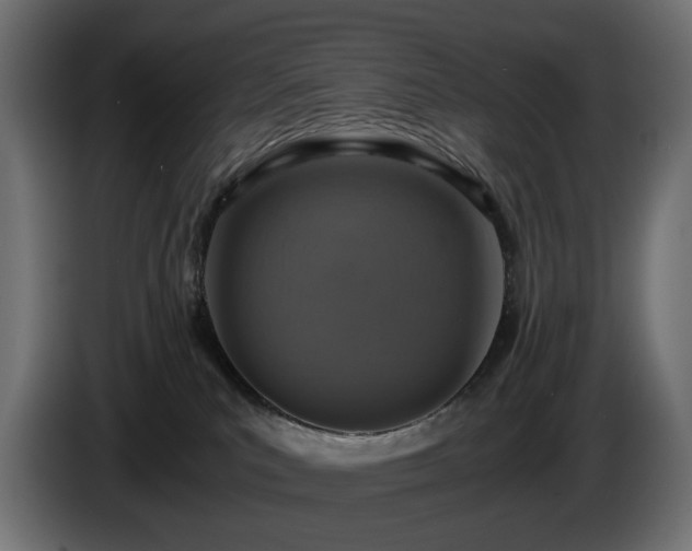 X0000084530039200703021431