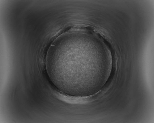 X0000084530040200703021431