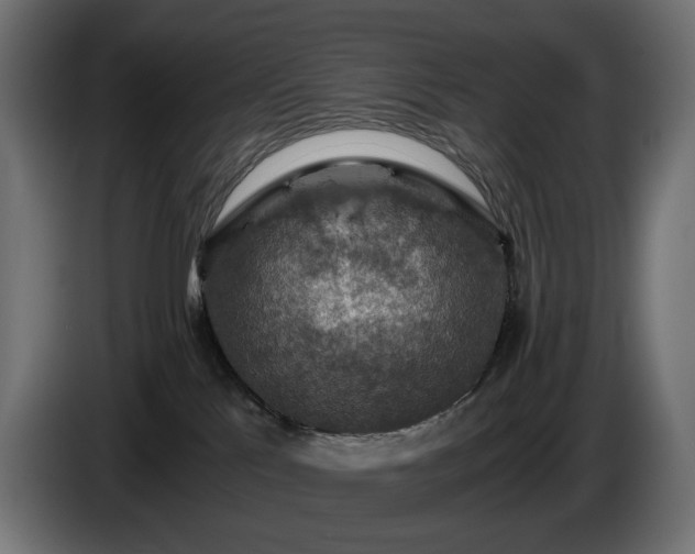 X0000084530041200703021431