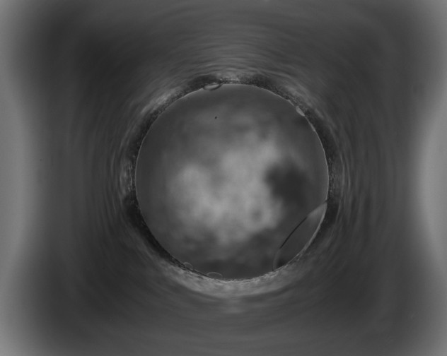 X0000084530043200703021431