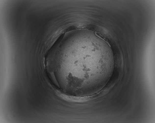 X0000084530044200703021431