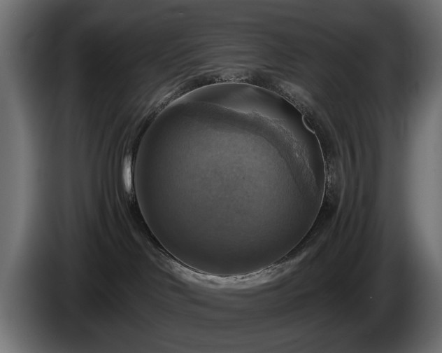 X0000084530046200703021431