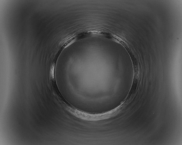 X0000084530047200703021431