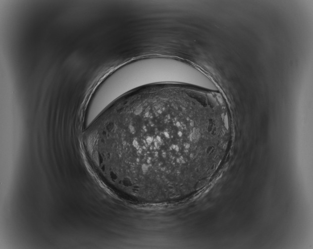 X0000084530049200703021430