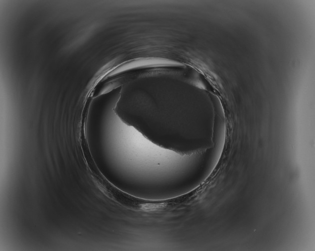 X0000084530051200703021430
