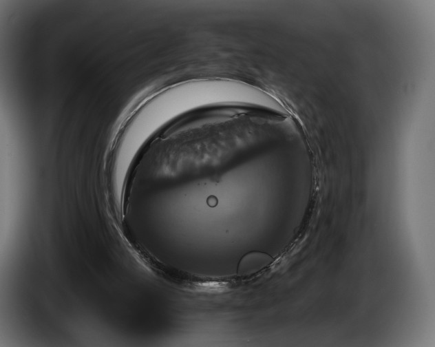 X0000084530053200703021430