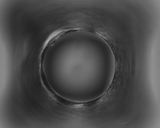 X0000084530054200703021430