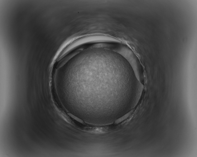 X0000084530056200703021430