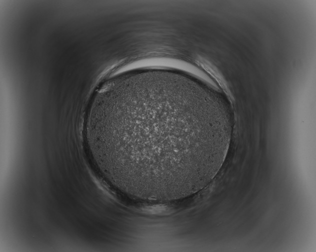 X0000084530058200703021430