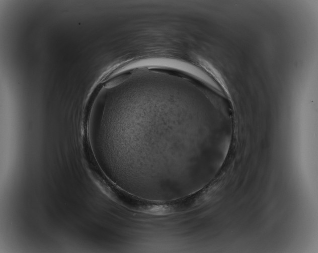 X0000084530059200703021430