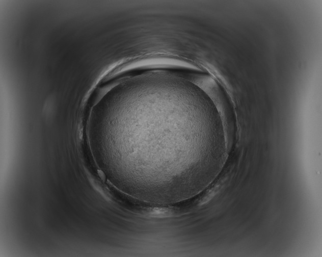 X0000084530060200703021430