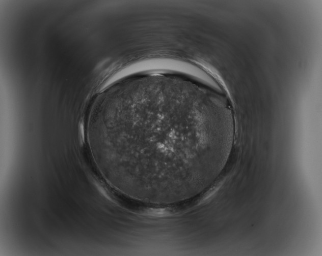 X0000084530061200703021430