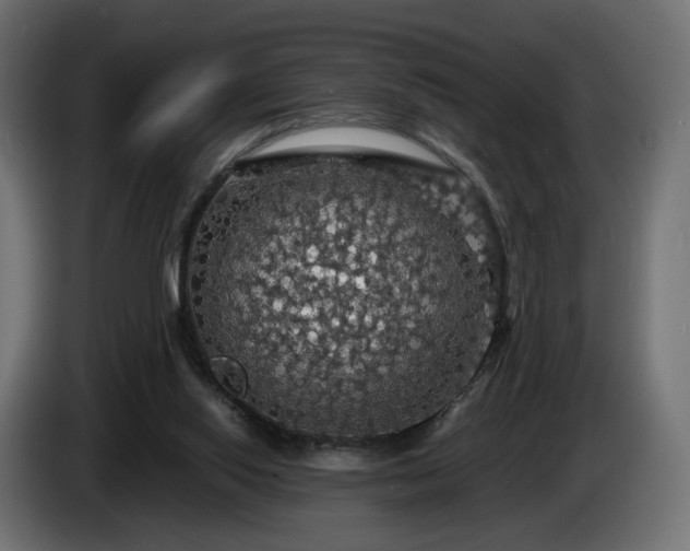 X0000084530062200703021430
