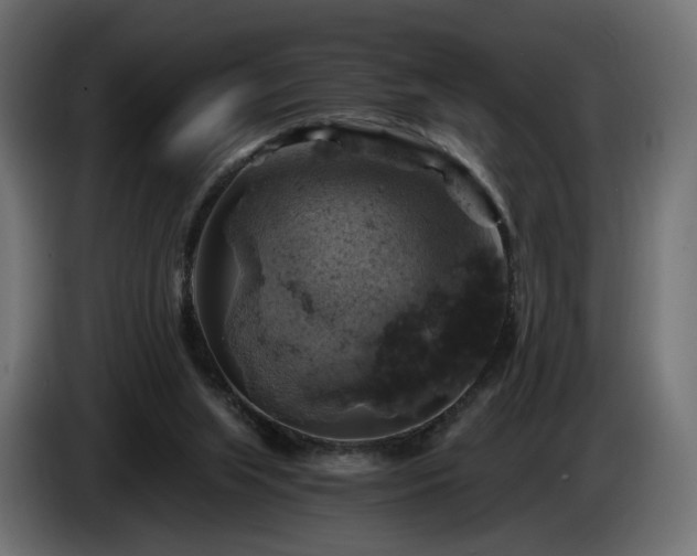 X0000084530063200703021430