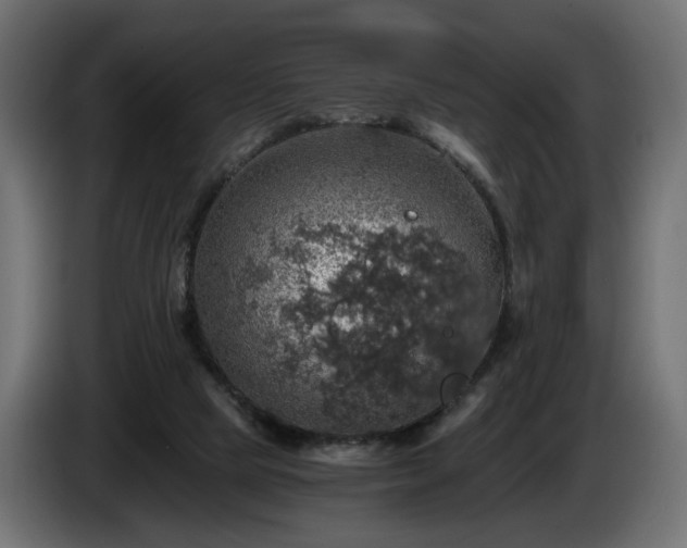 X0000084530065200703021430