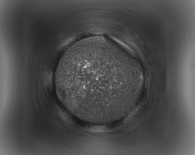X0000084530066200703021430