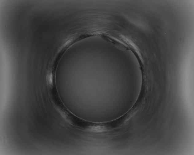 X0000084530067200703021430