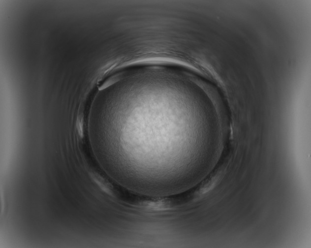 X0000084530068200703021430
