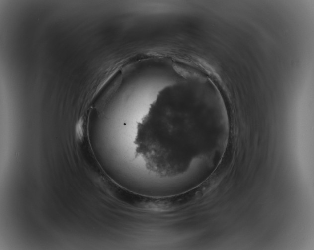 X0000084530069200703021430