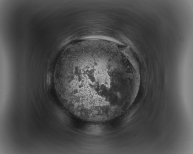 X0000084530071200703021430