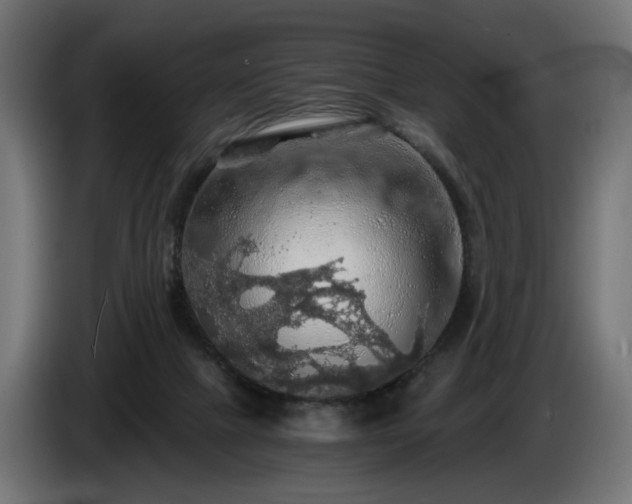 X0000084530073200703021430