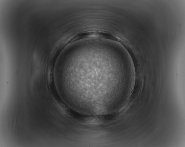 X0000084530074200703021430
