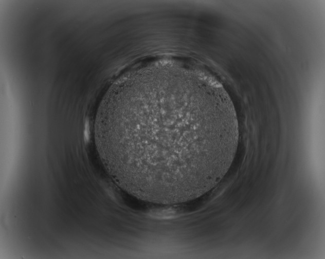 X0000084530075200703021430