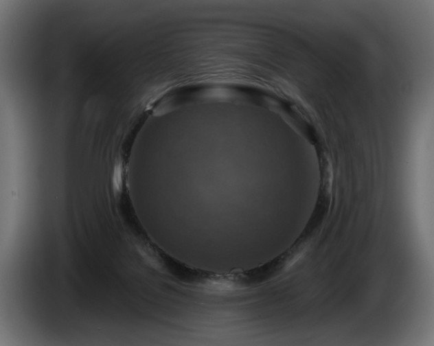 X0000084530076200703021430