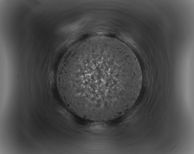 X0000084530077200703021430