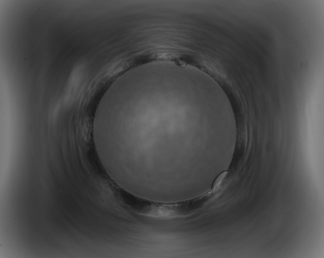 X0000084530078200703021430