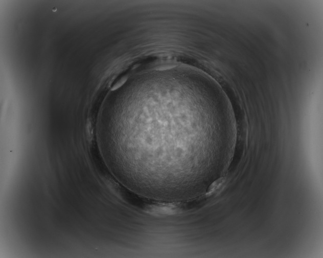 X0000084530086200703021431