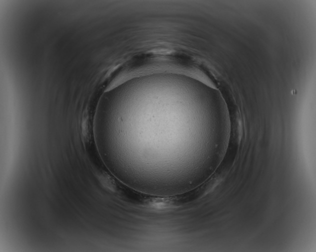 X0000084530088200703021431