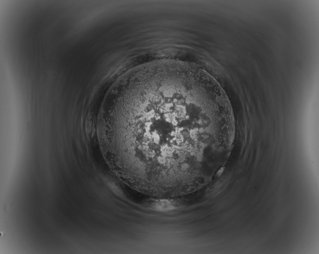 X0000084530091200703021431