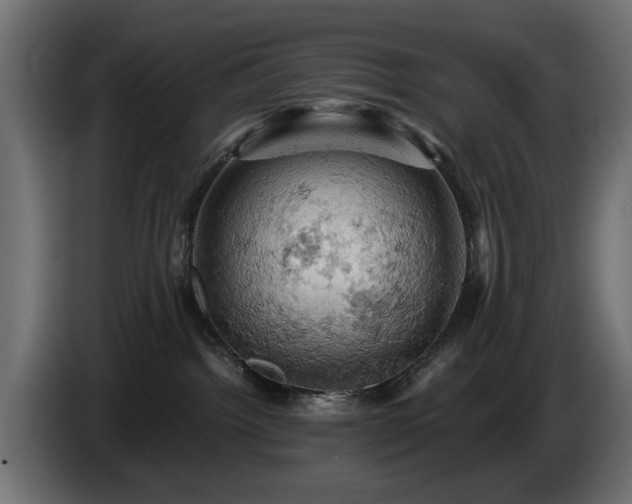 X0000084530092200703021431