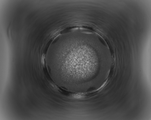 X0000084530094200703021431