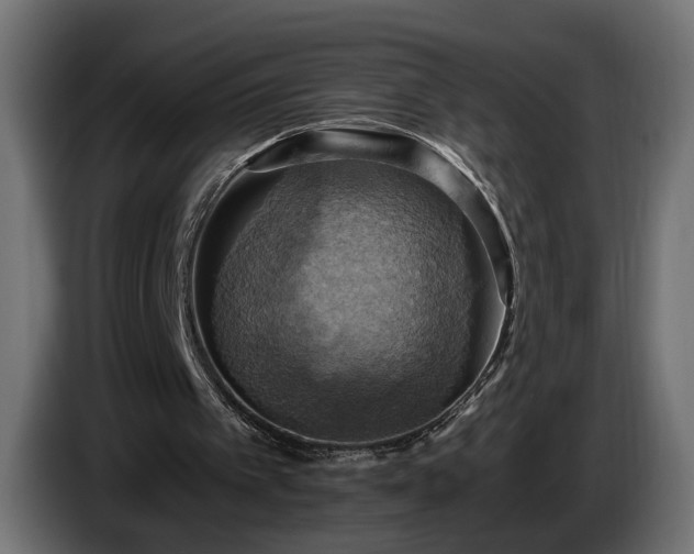 X0000084530097200703021430
