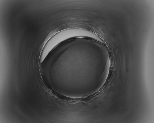 X0000084530099200703021430