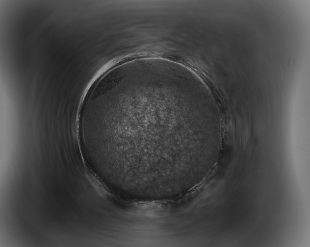 X0000084530100200703021430