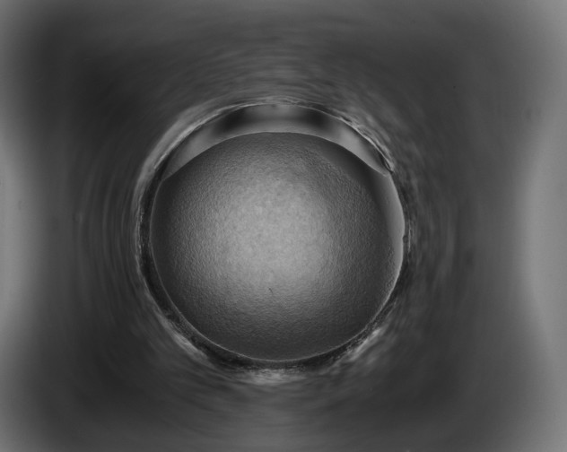 X0000084530101200703021430