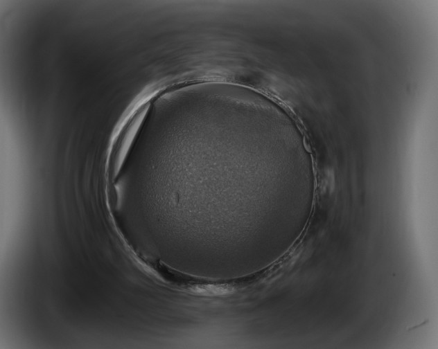 X0000084530102200703021430