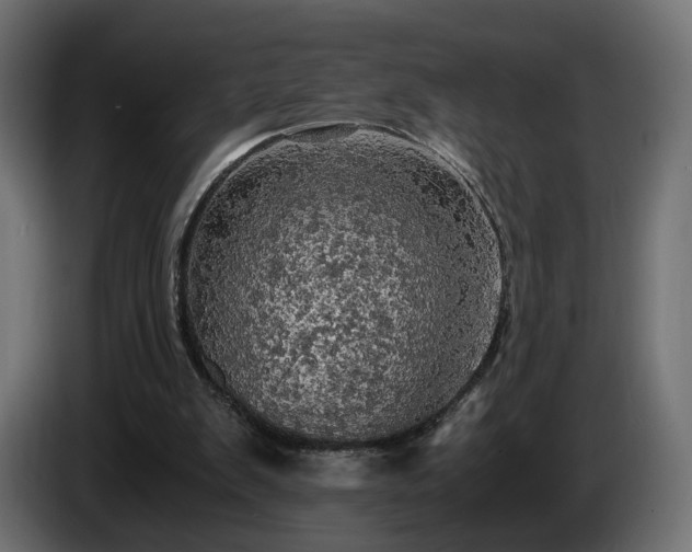 X0000084530103200703021430