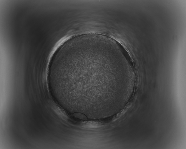 X0000084530104200703021430