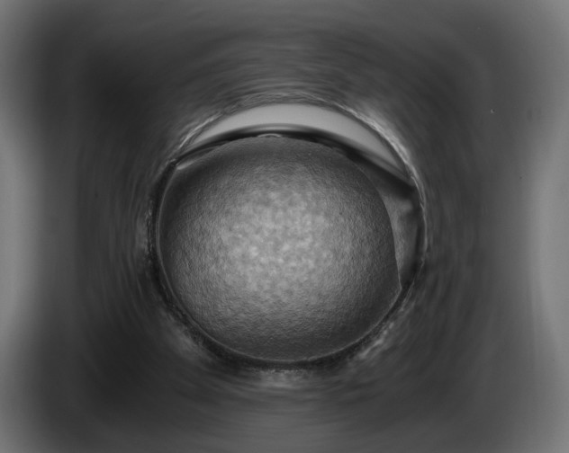 X0000084530105200703021430