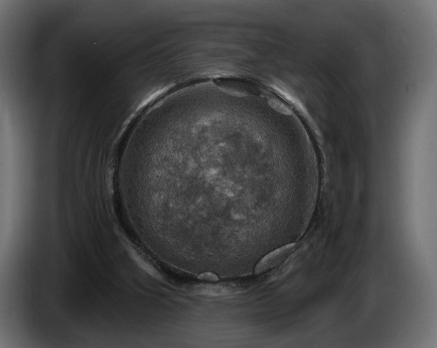 X0000084530106200703021430