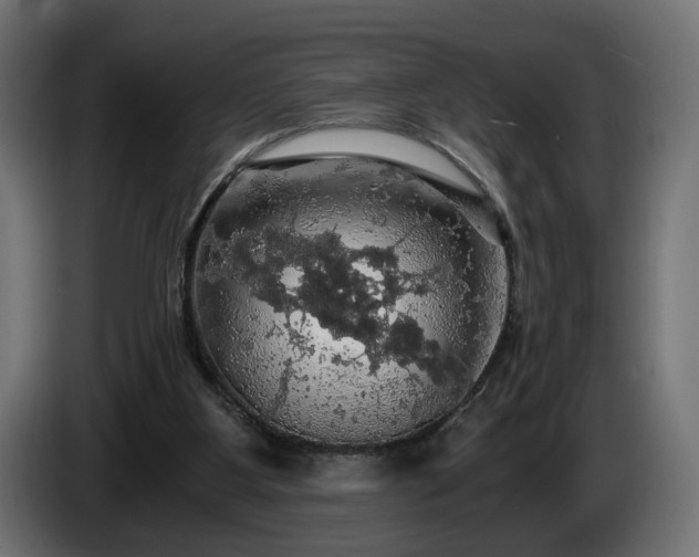 X0000084530107200703021430