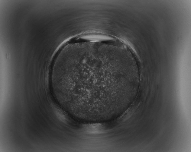 X0000084530108200703021430