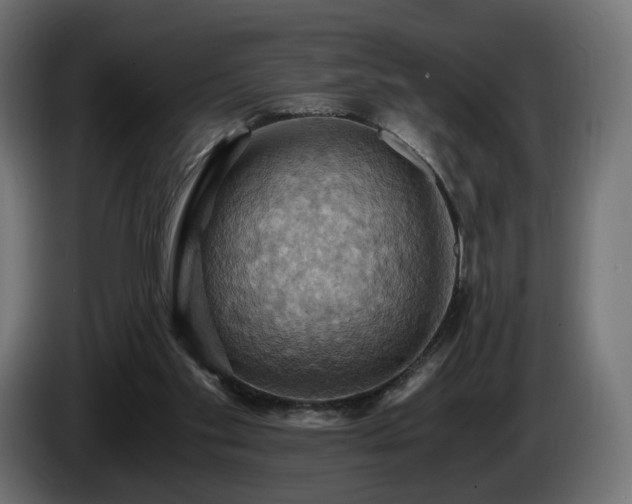 X0000084530109200703021430