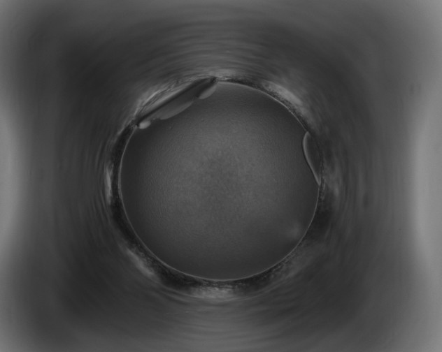 X0000084530110200703021430