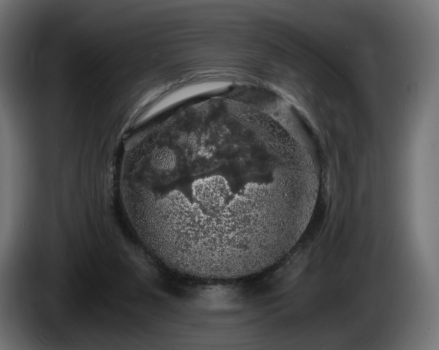 X0000084530111200703021430
